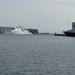 IMG 337